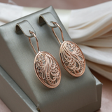 Orecchini eleganti e brillanti | Oro