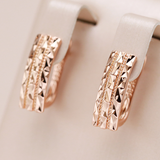 Orecchini eleganti | Oro